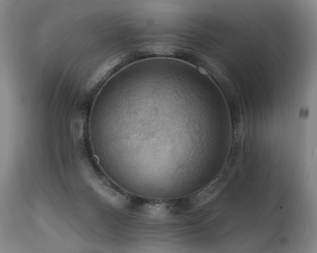 X0000112030120200908031445