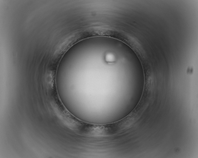X0000112030121200908031445