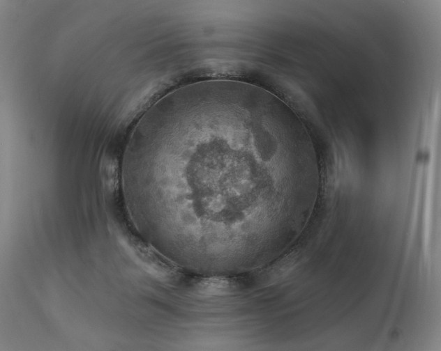 X0000112030123200908031445