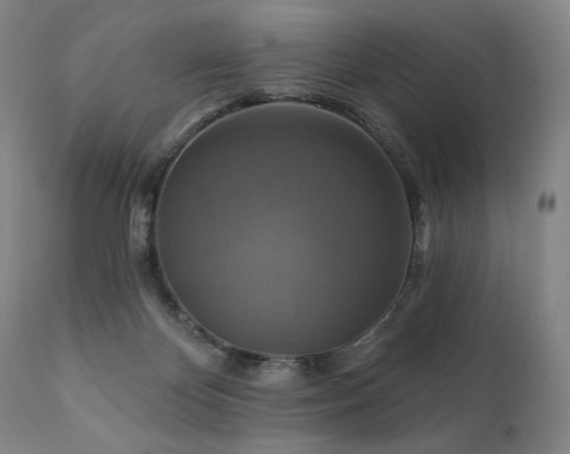 X0000112030124200908031445