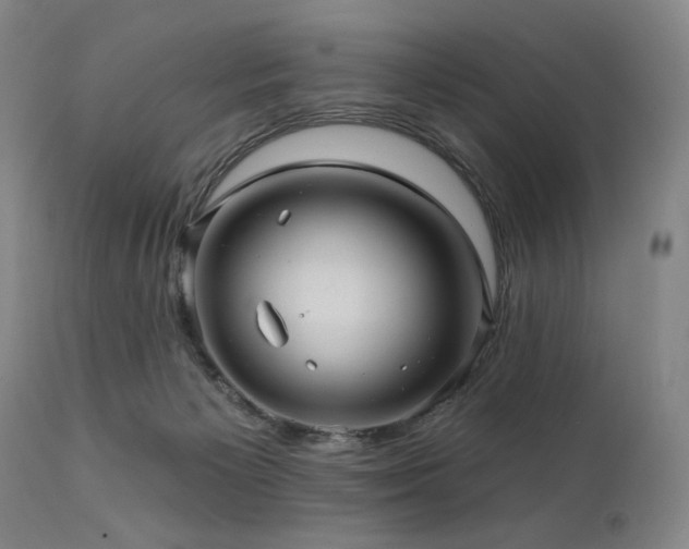 X0000112030125200908031445