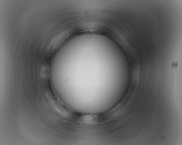 X0000112030126200908031445