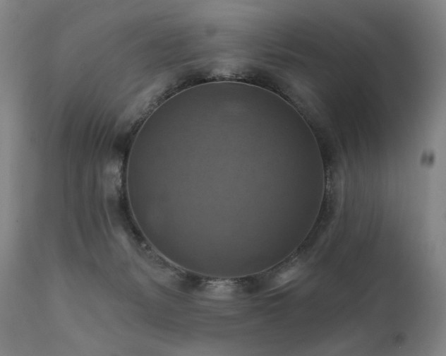 X0000112030127200908031445