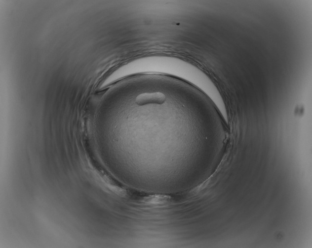 X0000112030128200908031445