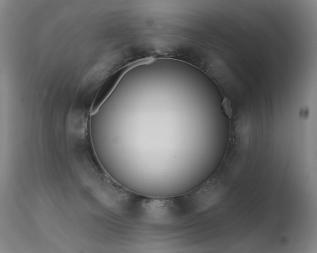 X0000112030129200908031445