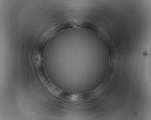 X0000112030130200908031445