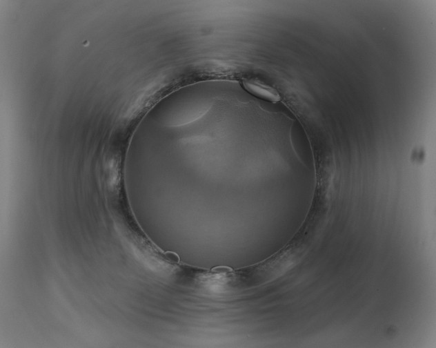 X0000112030131200908031445