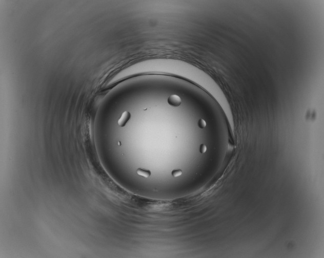 X0000112030132200908031445