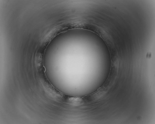 X0000112030133200908031445