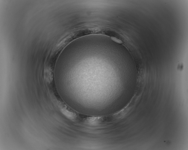 X0000112030136200908031445