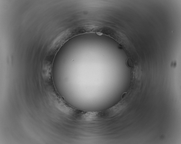X0000112030138200908031445