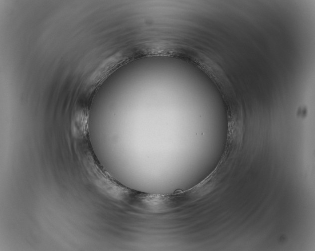 X0000112030142200908031445