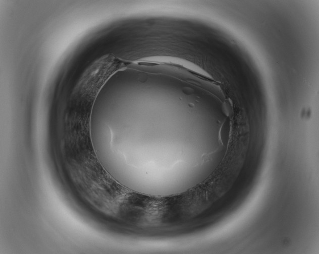 X0000112030143200908031445