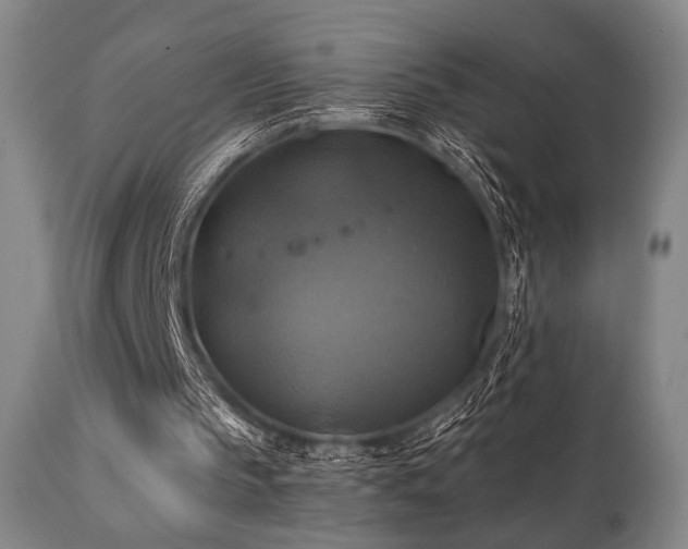 X0000112030145200908031444