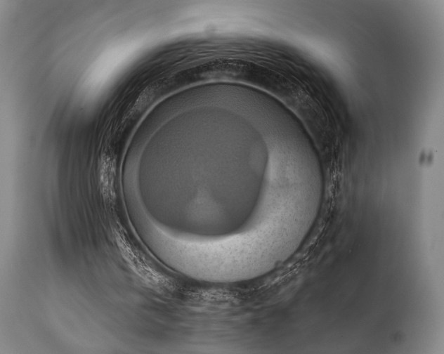 X0000112030146200908031444