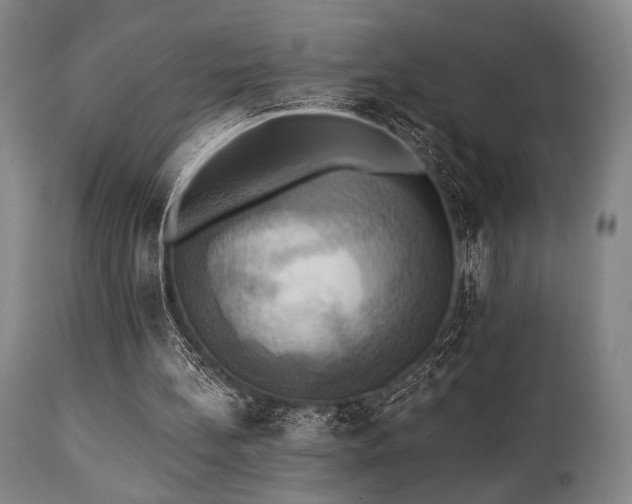 X0000112030148200908031444