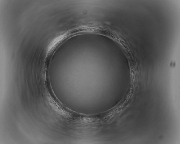 X0000112030149200908031444