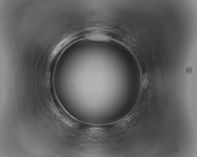 X0000112030150200908031444