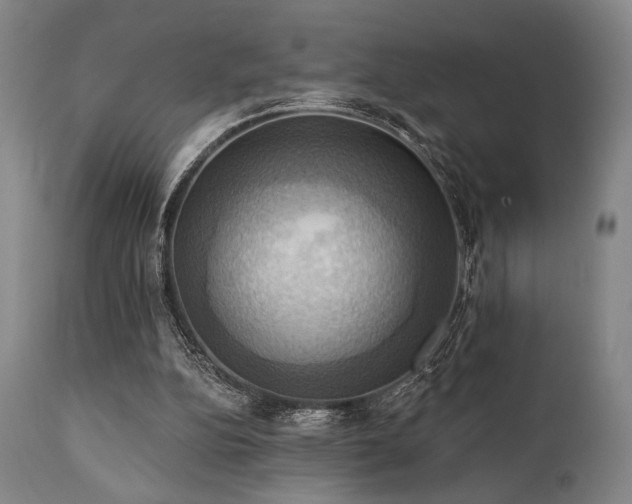 X0000112030152200908031444