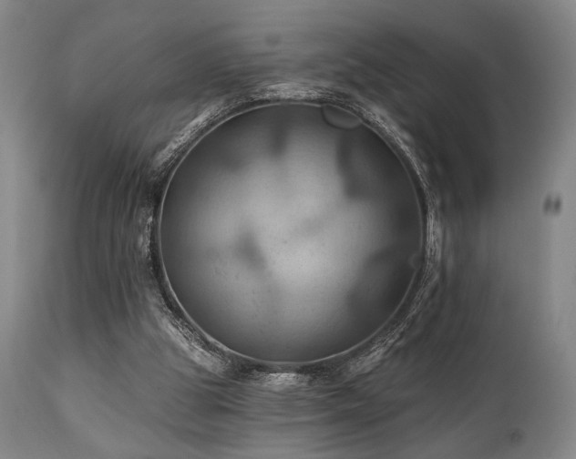 X0000112030153200908031444