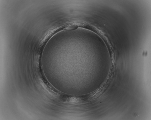 X0000112030154200908031444