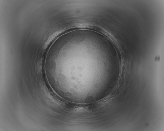 X0000112030155200908031444