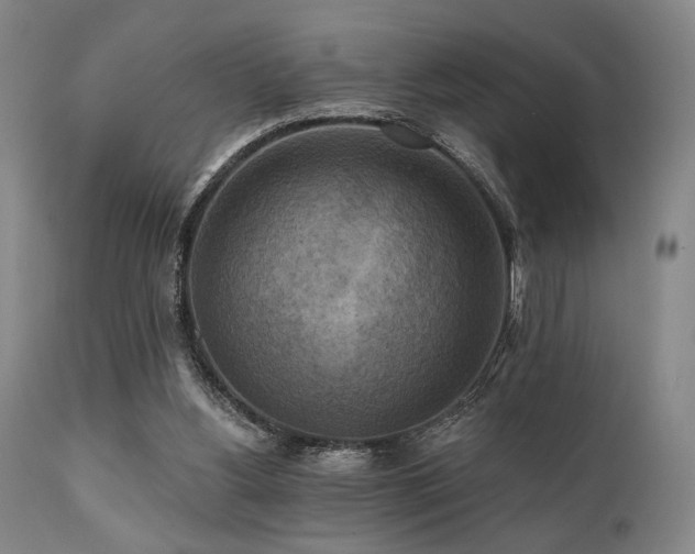 X0000112030156200908031444