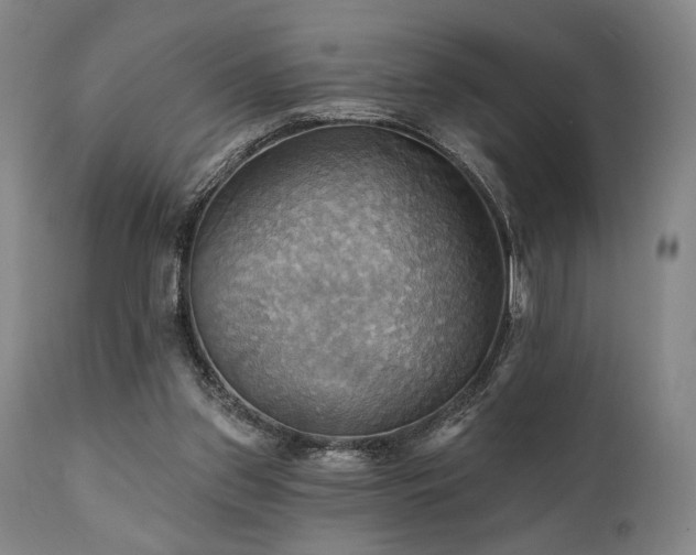 X0000112030157200908031444