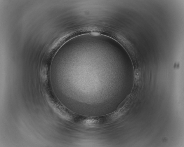 X0000112030158200908031444
