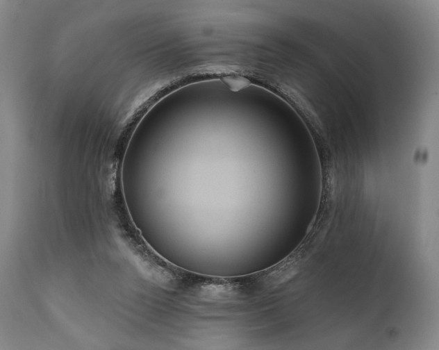 X0000112030160200908031444