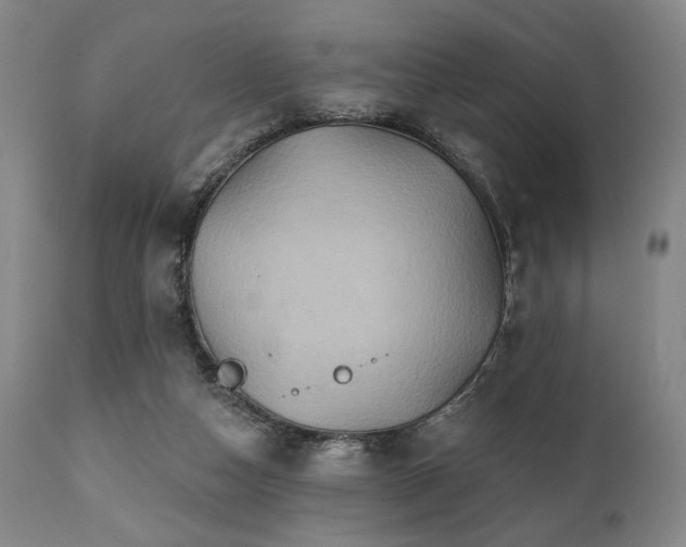 X0000112030162200908031444