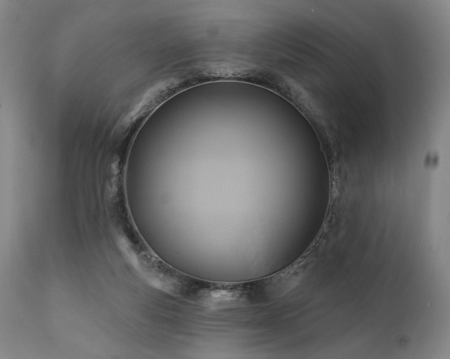 X0000112030163200908031444