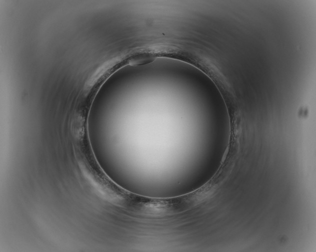 X0000112030164200908031444