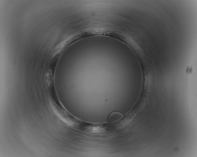 X0000112030165200908031445