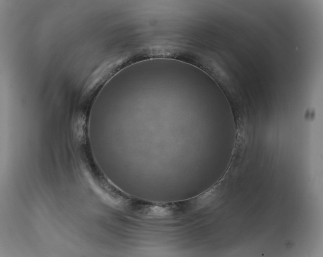 X0000112030166200908031445