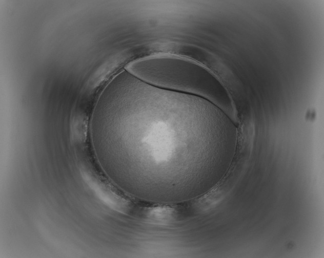 X0000112030168200908031445