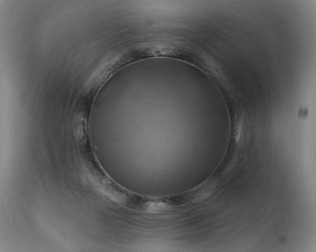 X0000112030169200908031445