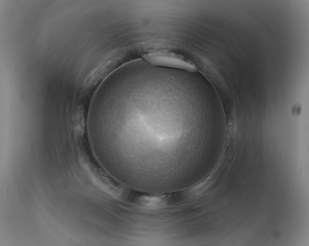 X0000112030170200908031445