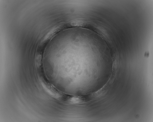 X0000112030171200908031445