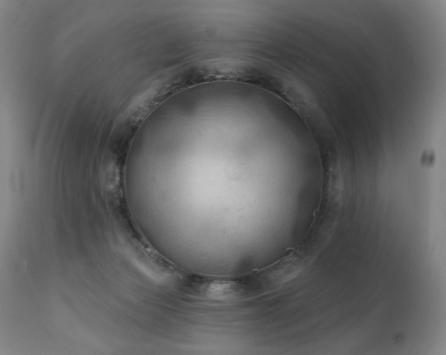 X0000112030173200908031445