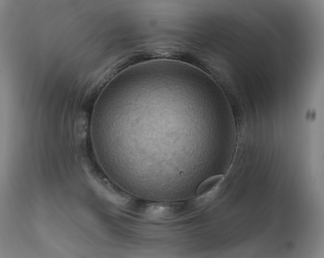 X0000112030174200908031445