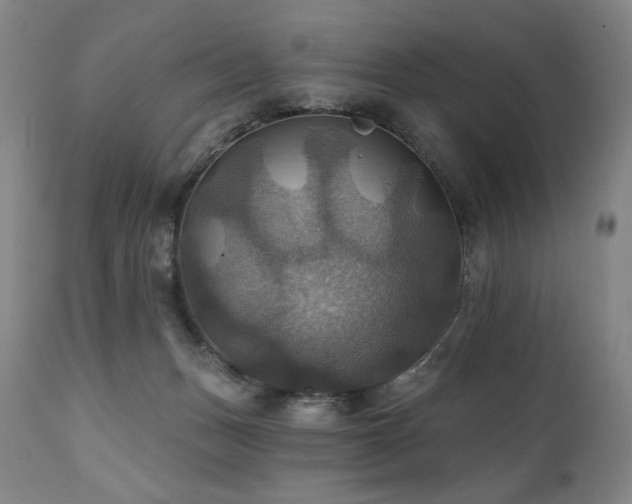 X0000112030175200908031445