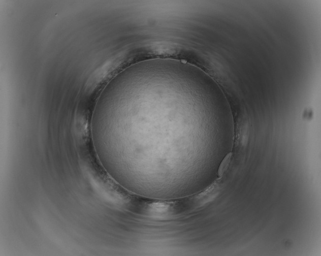 X0000112030176200908031445