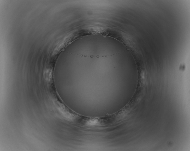 X0000112030177200908031445