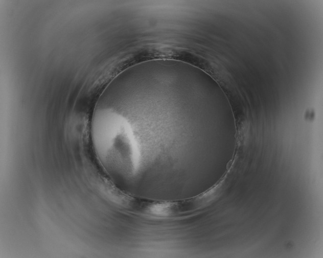 X0000112030178200908031445