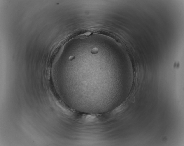 X0000112030180200908031445