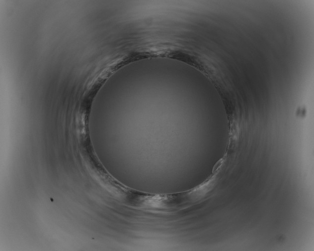 X0000112030182200908031445