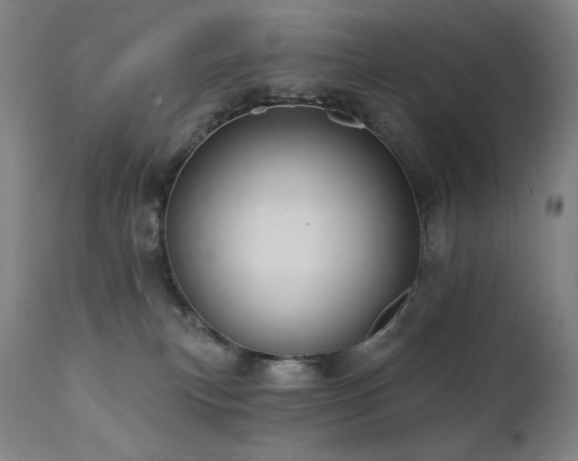 X0000112030183200908031445