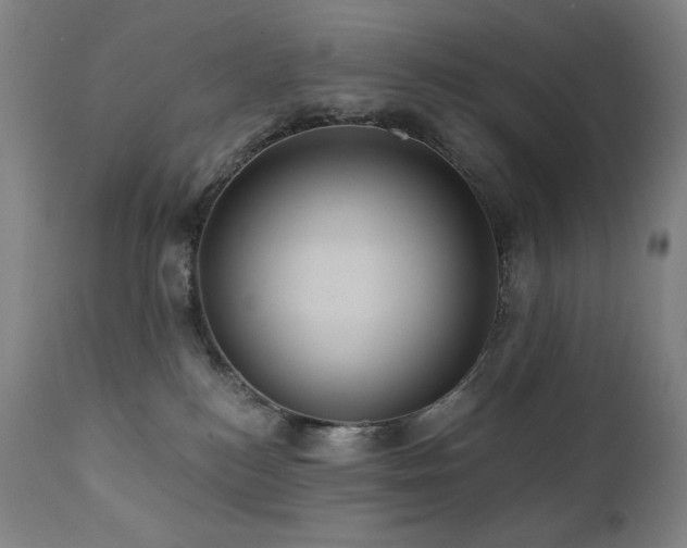 X0000112030184200908031445