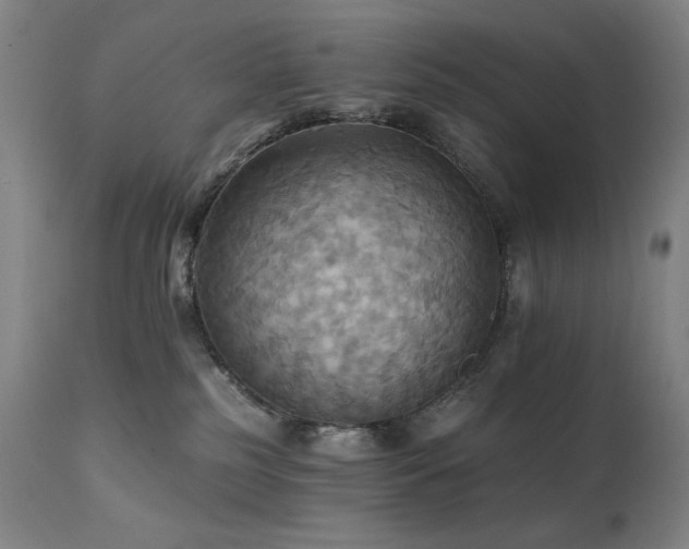 X0000112030185200908031445